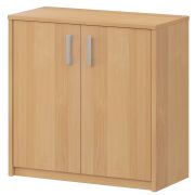 Стеллаж низкий закрытый Арго А-302/А-602 Ольха