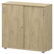 Стеллаж с раздвижными дверями Аргентум НТ-412 Баттл Рок